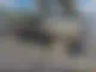 Vehicle Image- 1979 Ford F-150